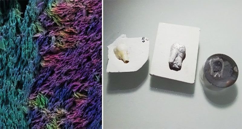 (Fotos: Hortense Le Ferrand (l); Tobias Niebel/ETH Zurich).