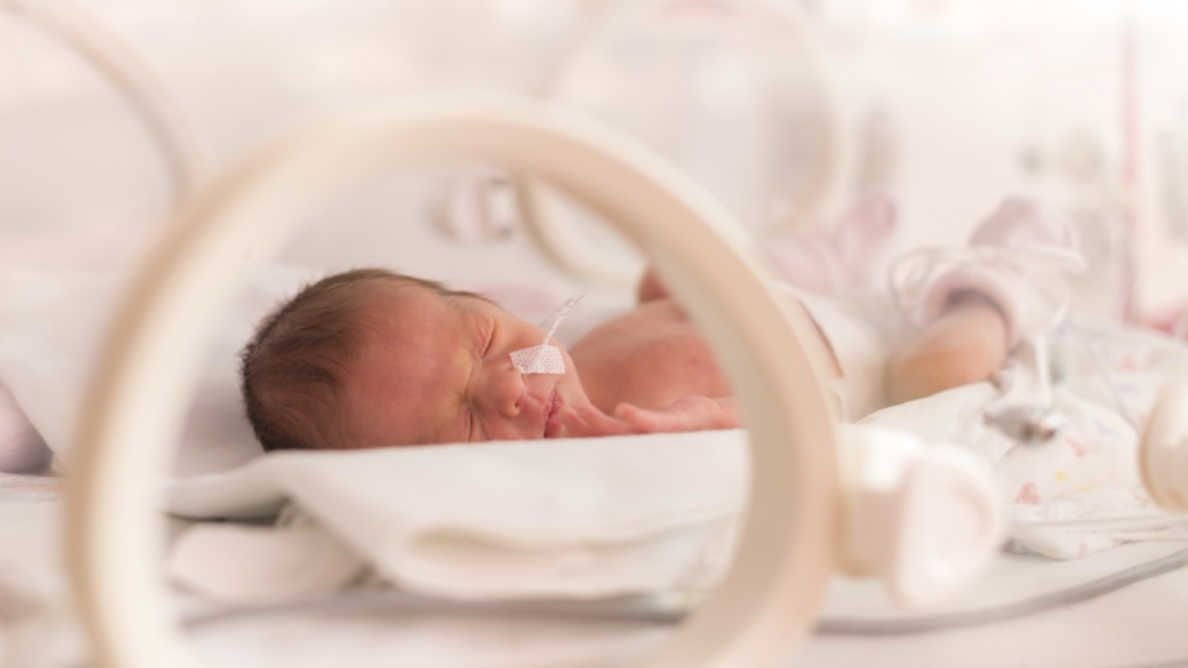(Foto: OndroM / Shutterstock)